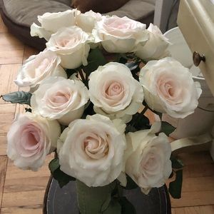 Meet your Posher, Maribel